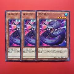 遊戯王　夜刀蛇巳　3枚