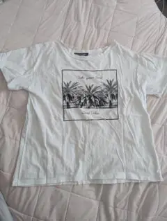ホワイト Tシャツ