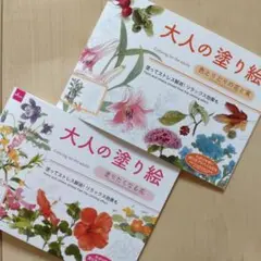 Item thumbnail for item 7ebc6528-3192-4aae-ac3d-5c7e4c2a1a2a