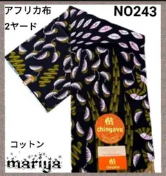 アフリカ
