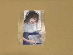 蒼崎青子 fgo 編成風画面カード　カード　最終再臨展