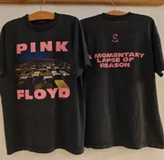 Pink Floyd A Momentary Lapse of Reason