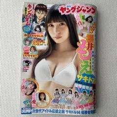 週刊ヤングジャンプ 2025年　No.34