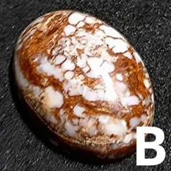 Item thumbnail for item 70a3ed4f-daeb-4b52-ad37-3f9a713a0332