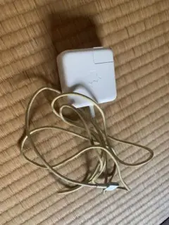 Apple 45W MagSafe 2 Power Adapter
