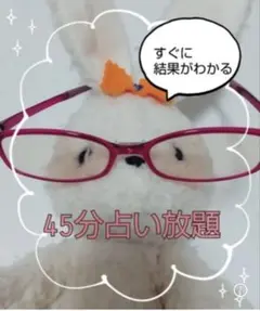 【即鑑定】45分占い放題