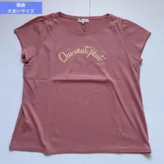 タグ付【組曲ＬKUMIKYOKU 】Tシャツ 大きいサイズ7