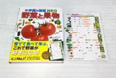 野菜と果物　小学館の図鑑　NEO　ネオ　特典下じき付