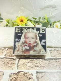 EXILE 愛すべき未来へ 3枚組CD
