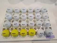 Srixon DISTANCE ロストボール 24球