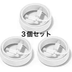 USB-C & USB-C ケーブル 100W PD対応 正規MFi認証品