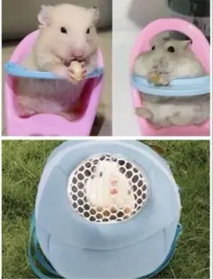 Item thumbnail for item 9753e822-df9f-4151-86d7-2070e6d122ed