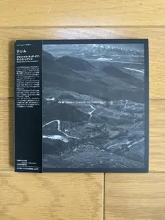 テュ・ム / フラジャイル・タッチ・オブ・ザ・コインシデンス