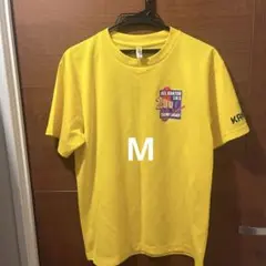 バレーボール 関東Tシャツ 2017 Mサイズ