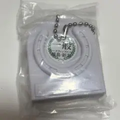 レースファンファーレ　サウンドオーナメント　福島　新潟
