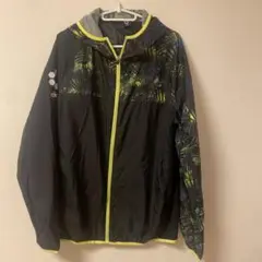 Item thumbnail for item d715fc2f-161f-4a7a-a1c4-576d82d5b1ad