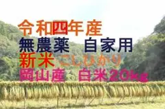 ■新米 岡山県産 精米 コシヒカリ20キロ 棚田 ポッンと一軒家 おまけ付