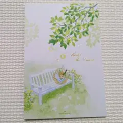 Hallmark　はがき箋　８枚入り