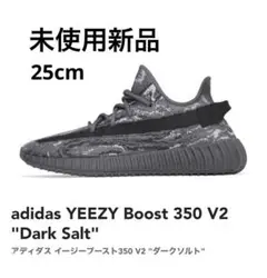 adidas YEEZY Boost 350 V2 "Dark Salt"