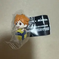 コラボスイング　日向
