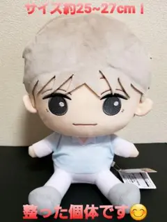 君の花になる BIGぬいぐるみ 成瀬大二郎 宮世流弥