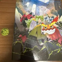ポケモンカード　N ファイル　コイン
