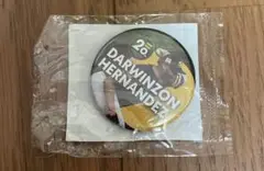 缶バッチガチャ ヘルナンデス選手