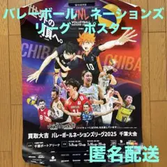 バレーボール　ネーションズリーグ2025 ポスター