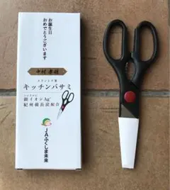 Item thumbnail for item b3455488-2bfa-49f3-9a34-824527db9c2a