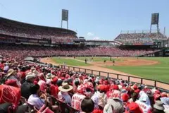 カープ 2025年9月28日(木) 内野指定席A1塁側 1枚 巨人戦 送料無料