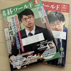 【除籍図書】　月刊・碁ワールド2冊