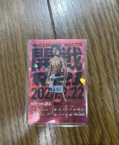 RIZIN ポテト スティック スナック RIZIN.21 No.08