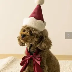 Item thumbnail for item 3ec110be-d894-4bd7-8293-cf46b0e9f280