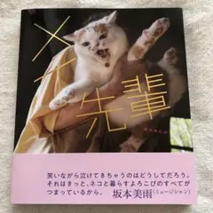 メイ先輩