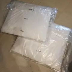 IKEA ソーデルハムン コンパクトサイズ 座面ヌードクッション 2個セット
