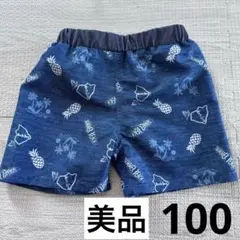水着　男の子　100 やしの木　パイナップル