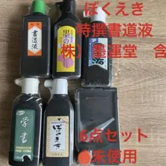 最終お値下げ❣️書道用 ぼくえき　特撰書道液　（株）墨運堂　含6点セット未使用