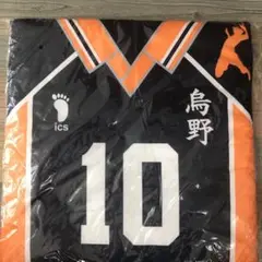希少 烏野 ハイキュー ユニフォーム 座布団 クッション 43cm