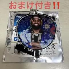 ファイターズ レイエス キーホルダー