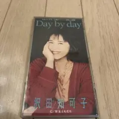 沢田知可子/デイ・バイ・デイ