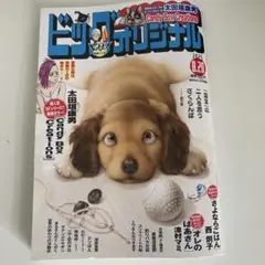 ビッグコミックオリジナル　2025 8.20
