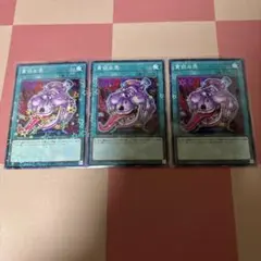 貪欲な壺 24EP パラレル 3枚