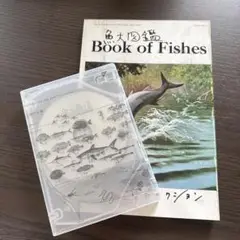 2025年最新】サカナクション 魚図鑑 完全生産限定盤 プレミアム