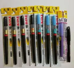 ぺんてる 筆ぺん 中字 極細 黒インキ 筆ぺんセット