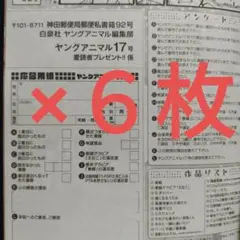 えなこ 特製図書カード懸賞応募用紙６枚　ヤングアニマル