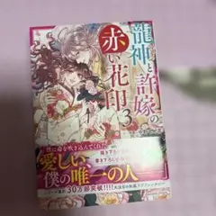 龍神と許嫁の赤い花印 3