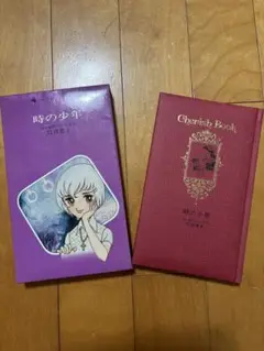 時の少年 竹宮恵子 特別版
