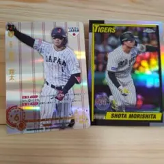 Item thumbnail for item 63fef50e-b913-47f5-9685-3053d462db13