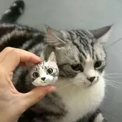 猫の顔フィギュア 手のひらサイズ