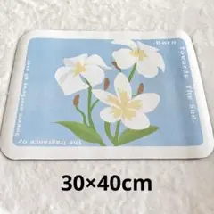 Item thumbnail for item 6585ec1b-9de1-492b-8f13-ef32fef3b434